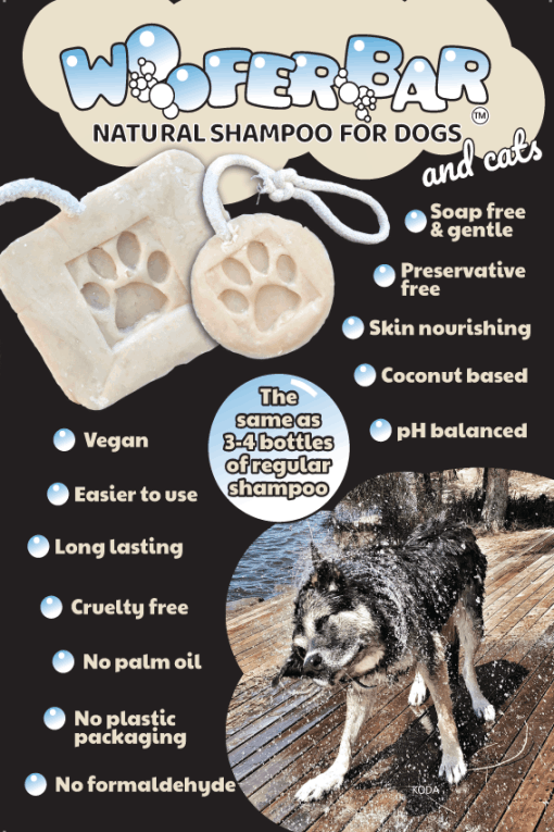 Logo and Graphic Design Sydney