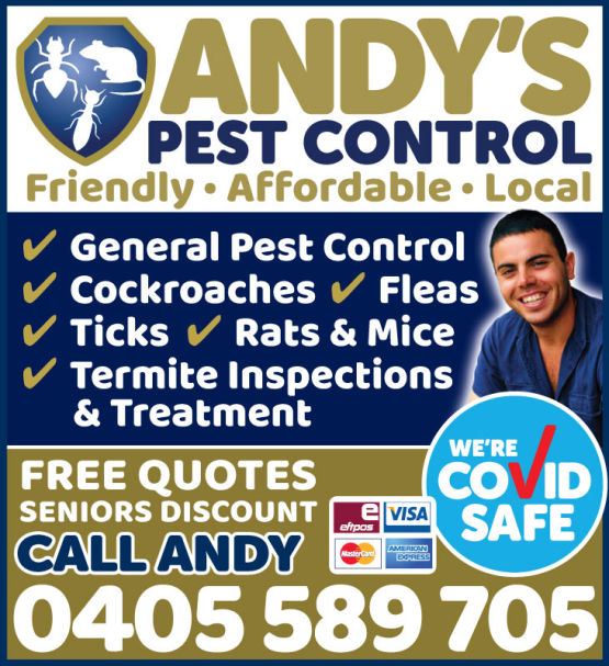 Logo and Graphic Design Sydney Advertising