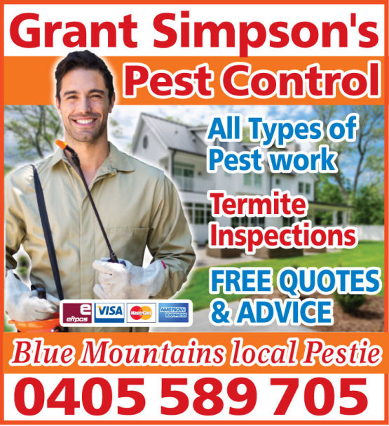 Logo and Graphic Design Sydney Advertising